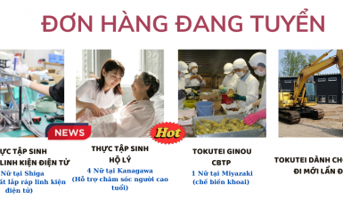 Đơn hàng đang tuyển 